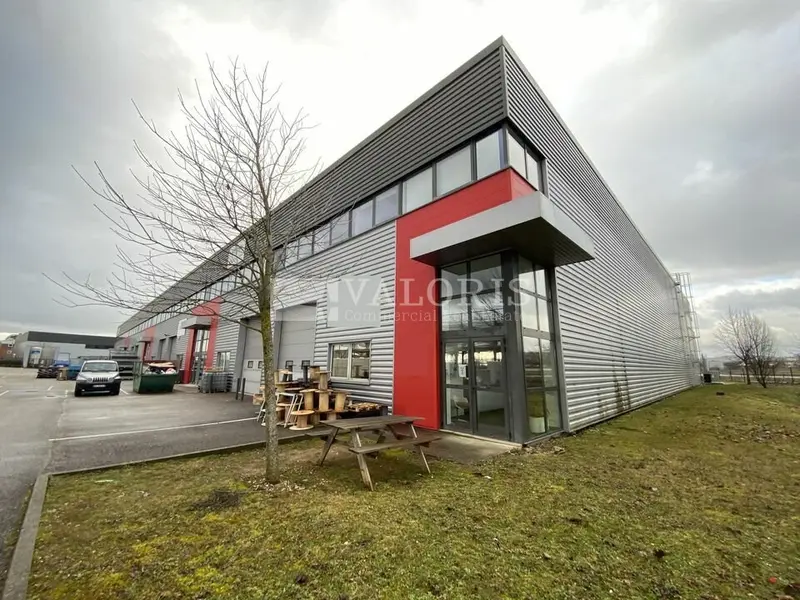 A louer Locaux d'activité 1816m² Dagneux