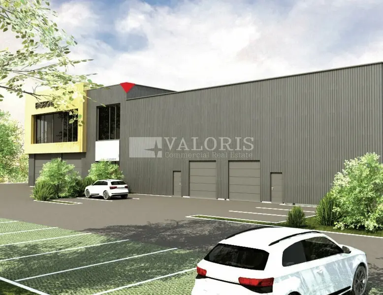 A vendre Locaux d'activité 2413m² Arnas