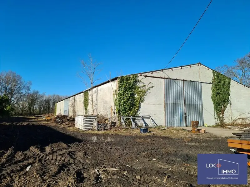 A vendre Entrepôt 1000m² Ambarès-et-Lagrave