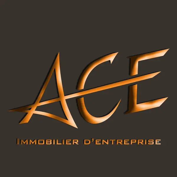 ACE IMMOBILIER D'ENTREPRISE